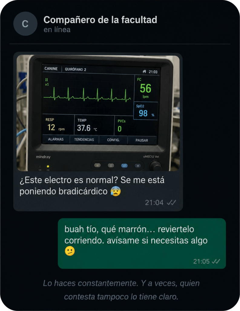 Captura de WhatsApp